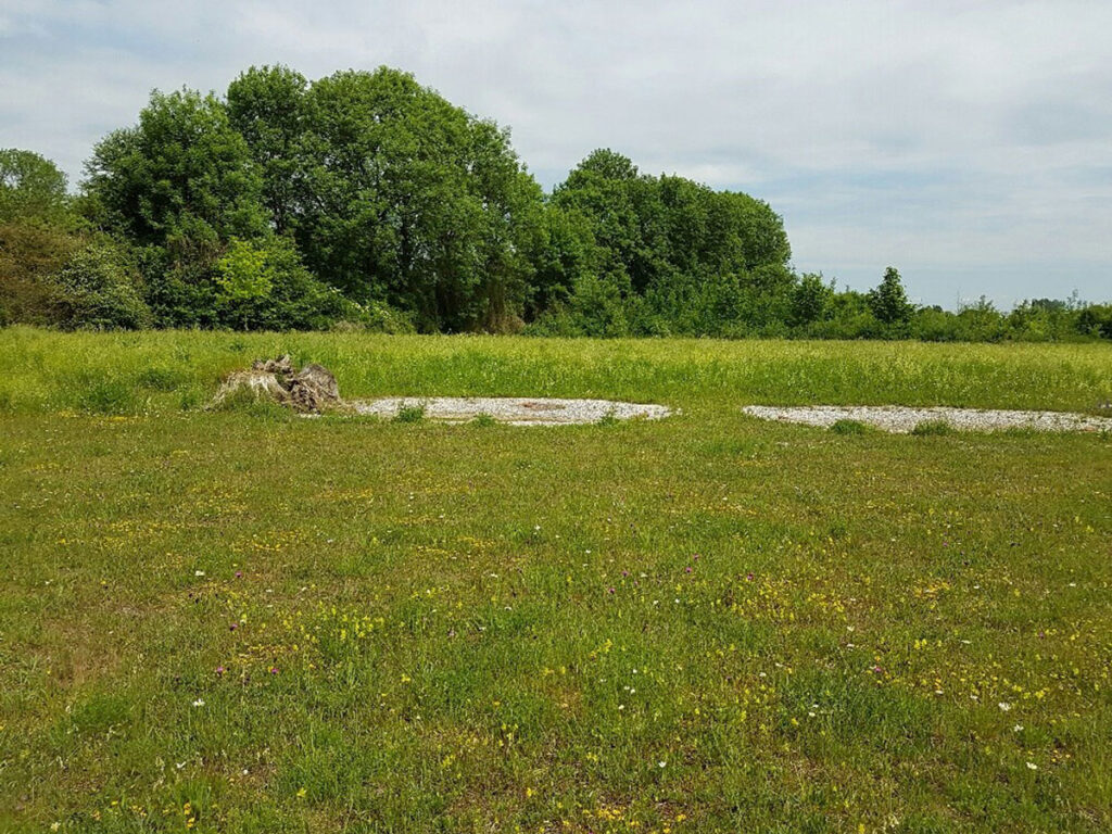 Artenreicher Magerrasen mit Laichgewässern und Totholzhaufen, artenreiche Frischwiese und Gehölzpflanzungen im Hintergrund